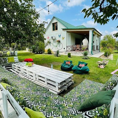 Villa Rokiti Екстер'єр фото