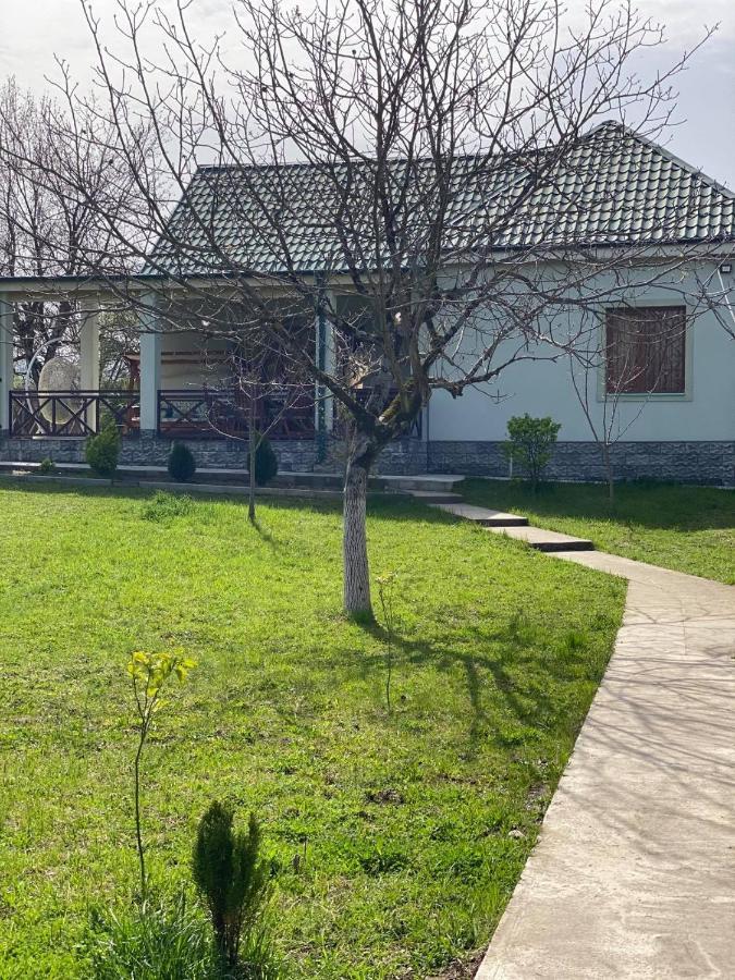 Villa Rokiti Екстер'єр фото