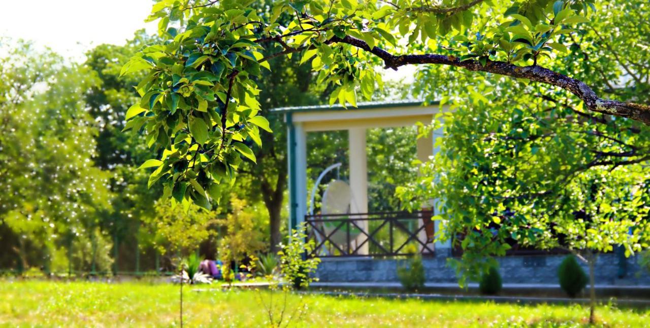 Villa Rokiti Екстер'єр фото